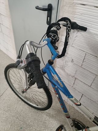 Bicicleta de paseo