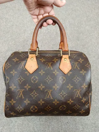 Bolso Louis Vuitton Speedy Marrón Beige