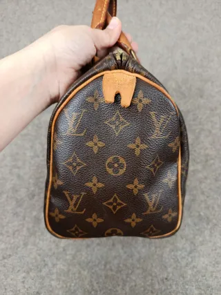 Bolso Louis Vuitton Speedy Marrón Beige