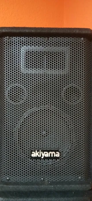 Altavoces pasivos Akiyama negros