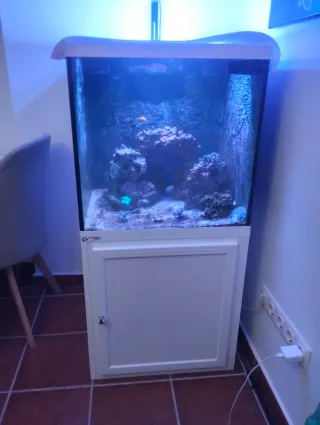 Acuario Marino Completo