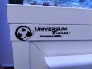 Acuario Marino Completo