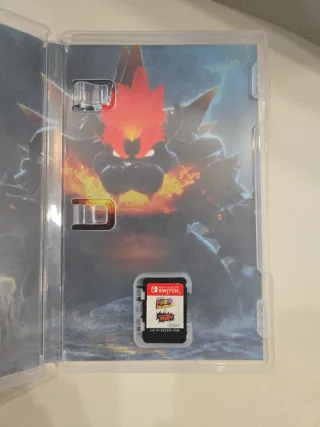 Super Mario 3D World + Bowser's Fury Switch