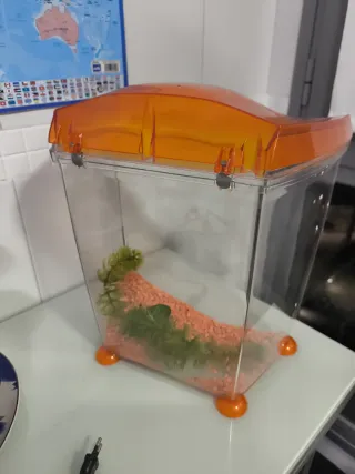 Pecera decorativa naranja y transparente