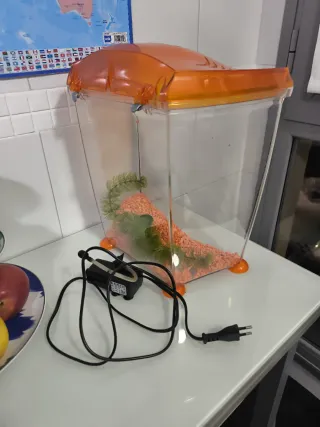 Pecera decorativa naranja y transparente