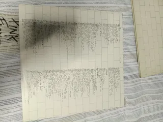 Vinilo LP Pink Floyd The Wall