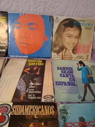 Lote de 19 Discos Vinilo Variados