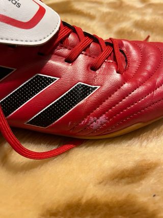 Adidas Copa Tango 17.3 IN Talla 42