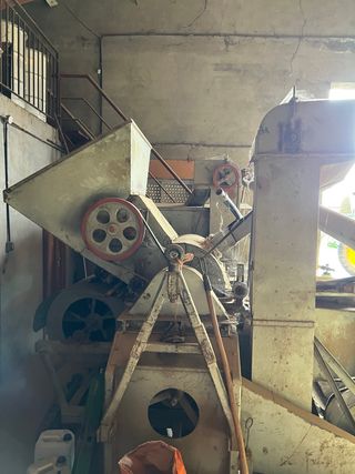 Trillo de alubias Carbajo