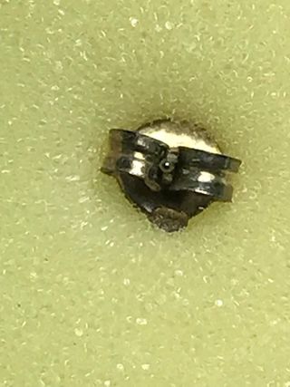 Pendientes Gatos Plata Ley + Regalo