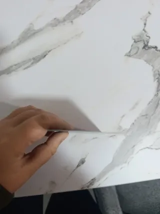 Carta Pokémon Reshiram & Charizard GX