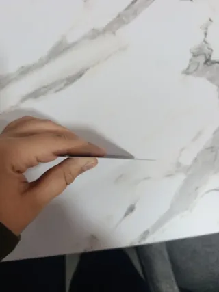 Carta Pokémon Reshiram & Charizard GX