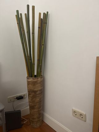 Maceta grande cerámica con bambú