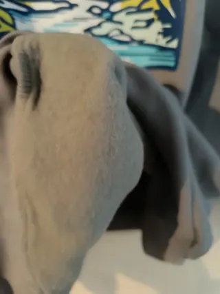 Sudadera gris con estampado de paisaje