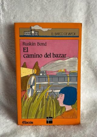Camino del Bazar (libro)
