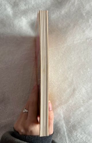 Camino del Bazar (libro)