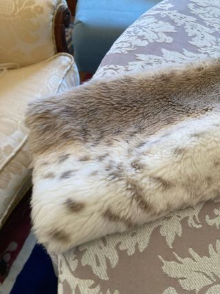 Chaquetón estampado animal tonos suaves