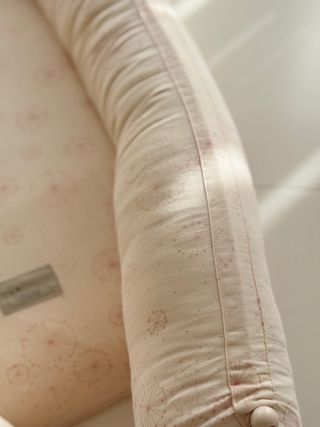 Nido reductor bebé con funda Cam cam