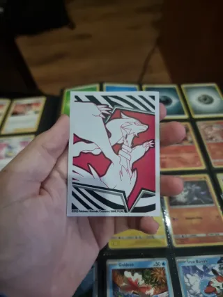 Carta Pokémon Radiant Charizard