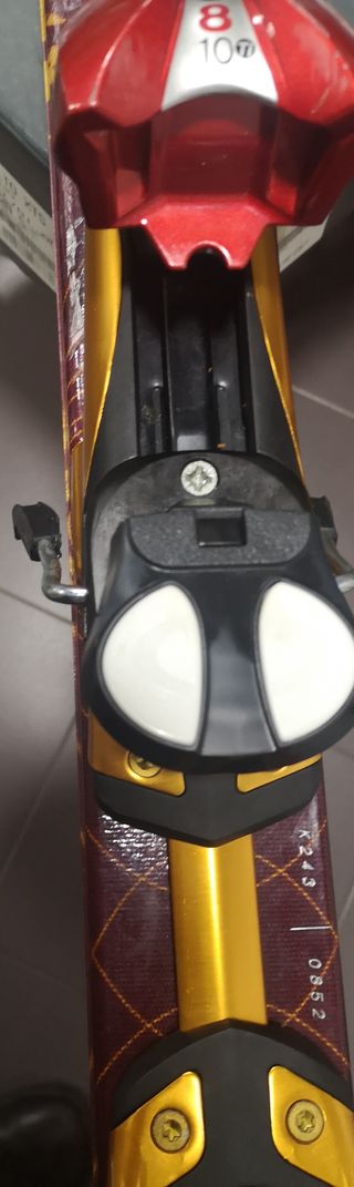 Esquís Salomon Scream + Fijaciones S810