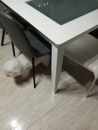 Mesa de comedor madera y cristal