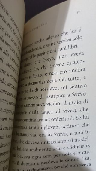 Libro Sotto il sole ai campi Elisi