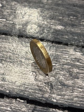 Moneda 1 Libra Esterlina 2017