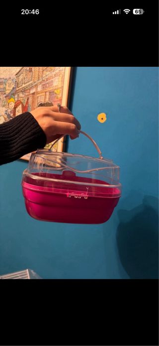 Gabbia criceto e trasportino