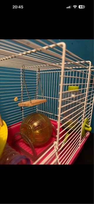 Gabbia criceto e trasportino