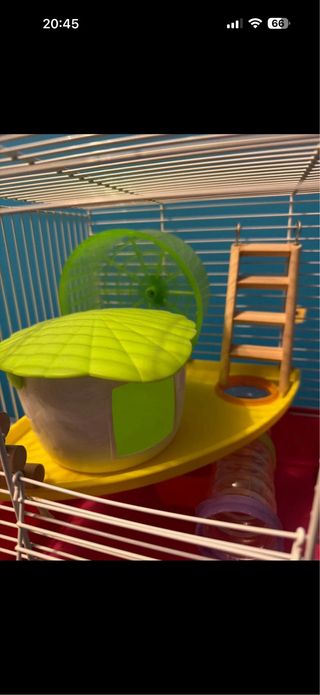 Gabbia criceto e trasportino