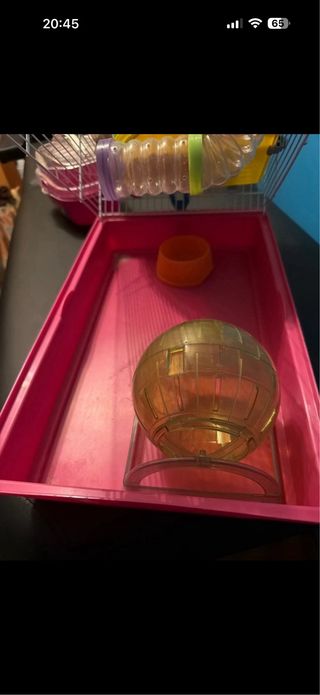 Gabbia criceto e trasportino