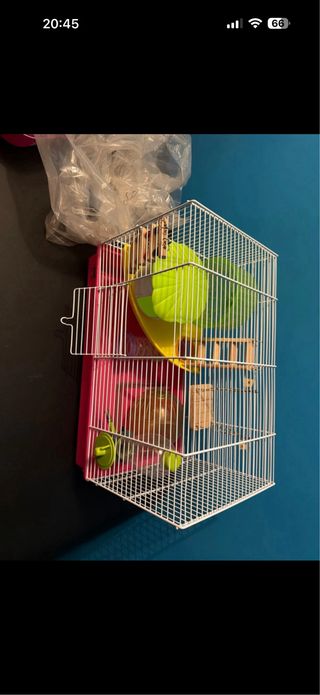 Gabbia criceto e trasportino