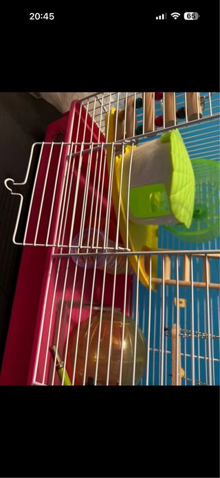 Gabbia criceto e trasportino