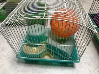 Jaula para hámster con accesorios