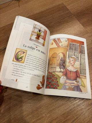 Libro La Tulipe Noir en francés