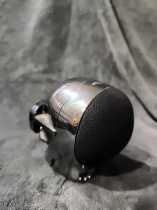 Altavoz Bluetooth AeroSkull Plata/Negro