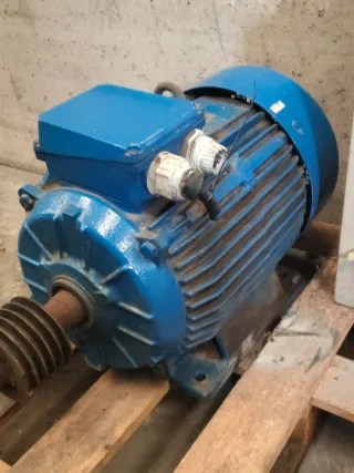 Bomba lobular rotativa acero inoxidable