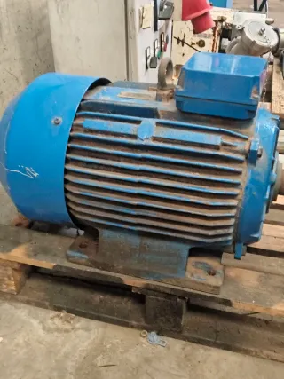 Bomba lobular rotativa acero inoxidable