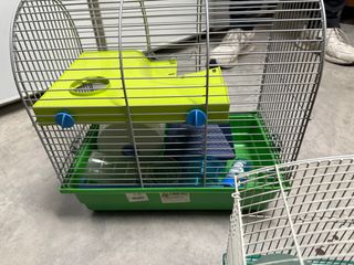 Jaula para hámster con accesorios