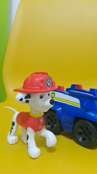Set Paw Patrol