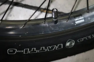 Bicicleta Electra Ghostrider