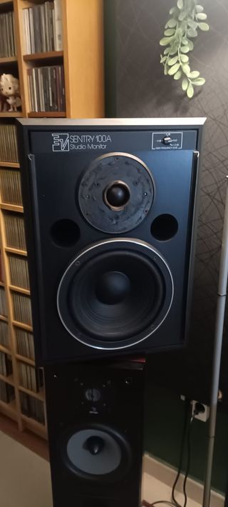 Monitores Electro-Voice Sentry 100A