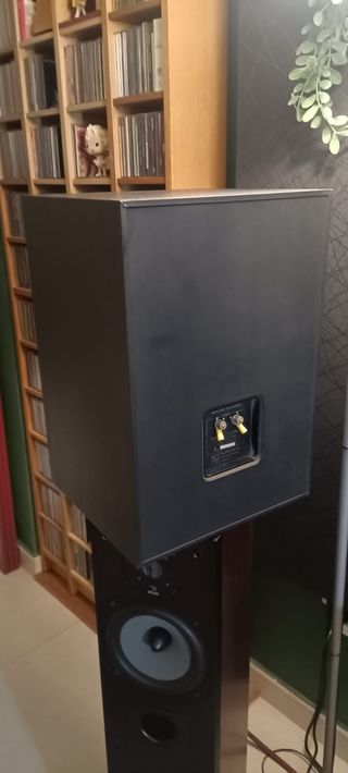 Monitores Electro-Voice Sentry 100A