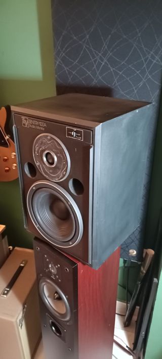 Monitores Electro-Voice Sentry 100A