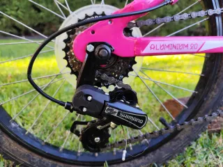 Bicicletas infantiles rosa 20