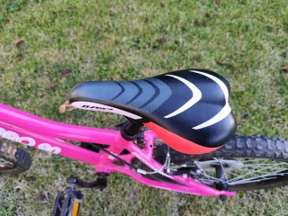 Bicicletas infantiles rosa 20