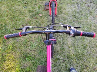 Bicicletas infantiles rosa 20