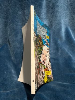 Comic la cosa del pantano Swamp thing mini serie