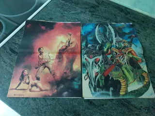 2 Cómics de Manos Guerrero Indomito