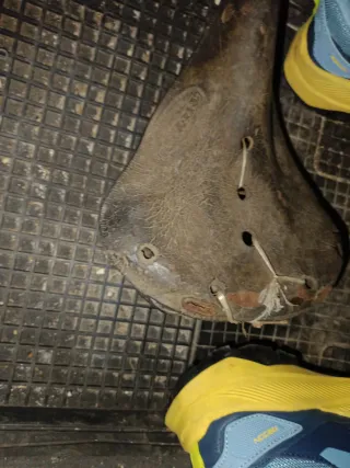 Asiento de bicicleta antiguo TRYBU